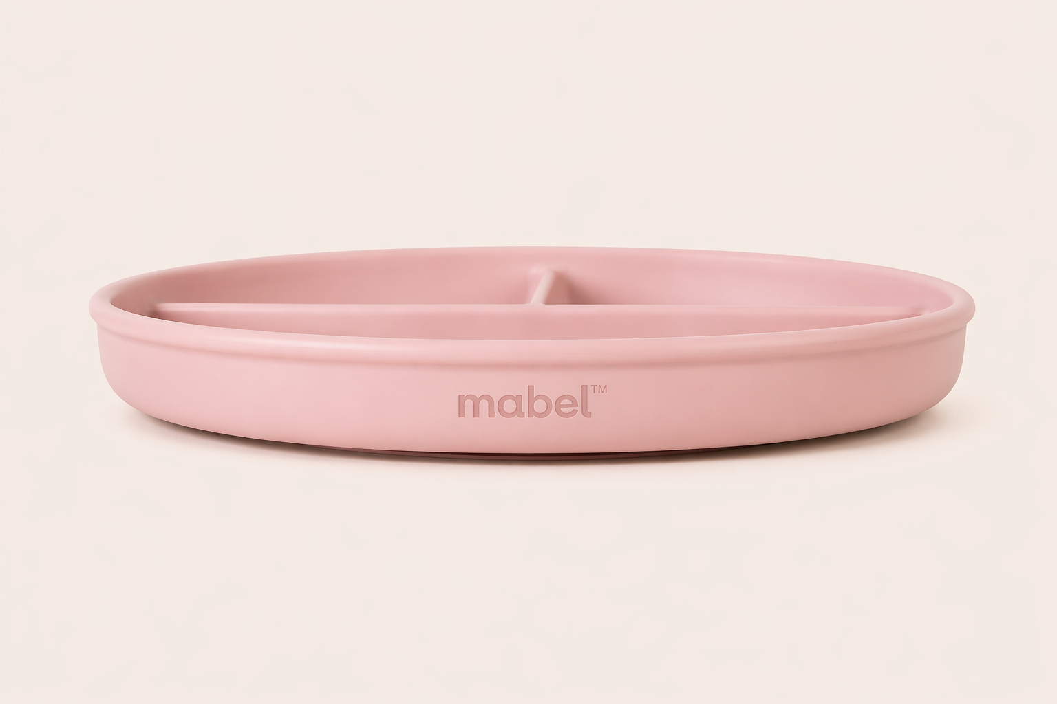Stay Put Suction Plate
